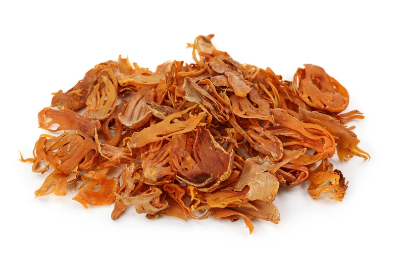 Lessons of Resilience