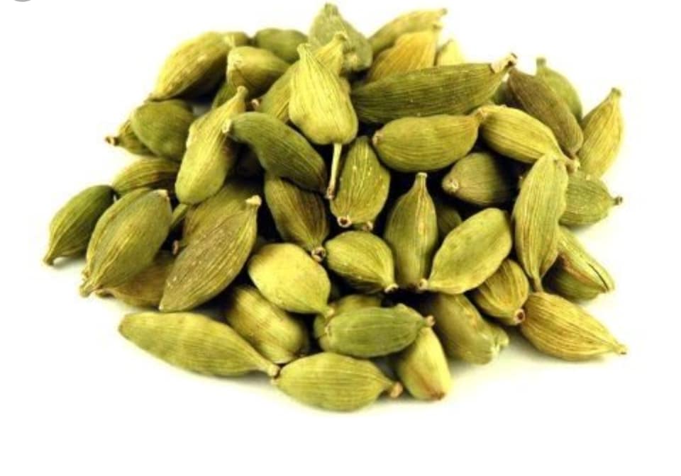 Lessons of Resilience