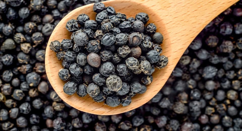 Lessons of Resilience