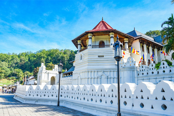 Lessons of Resilience