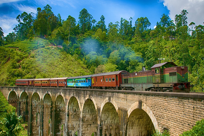 Lessons of Resilience